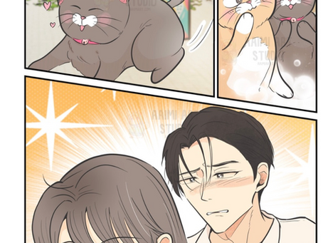 The Rival Cat