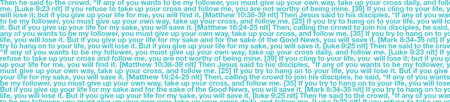 WebBanner_TheCross_scripturelayer_v03.png