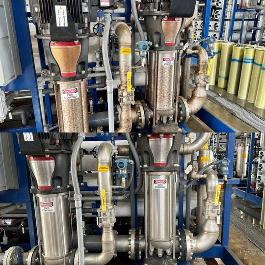 Untitled design - 7.jpeg