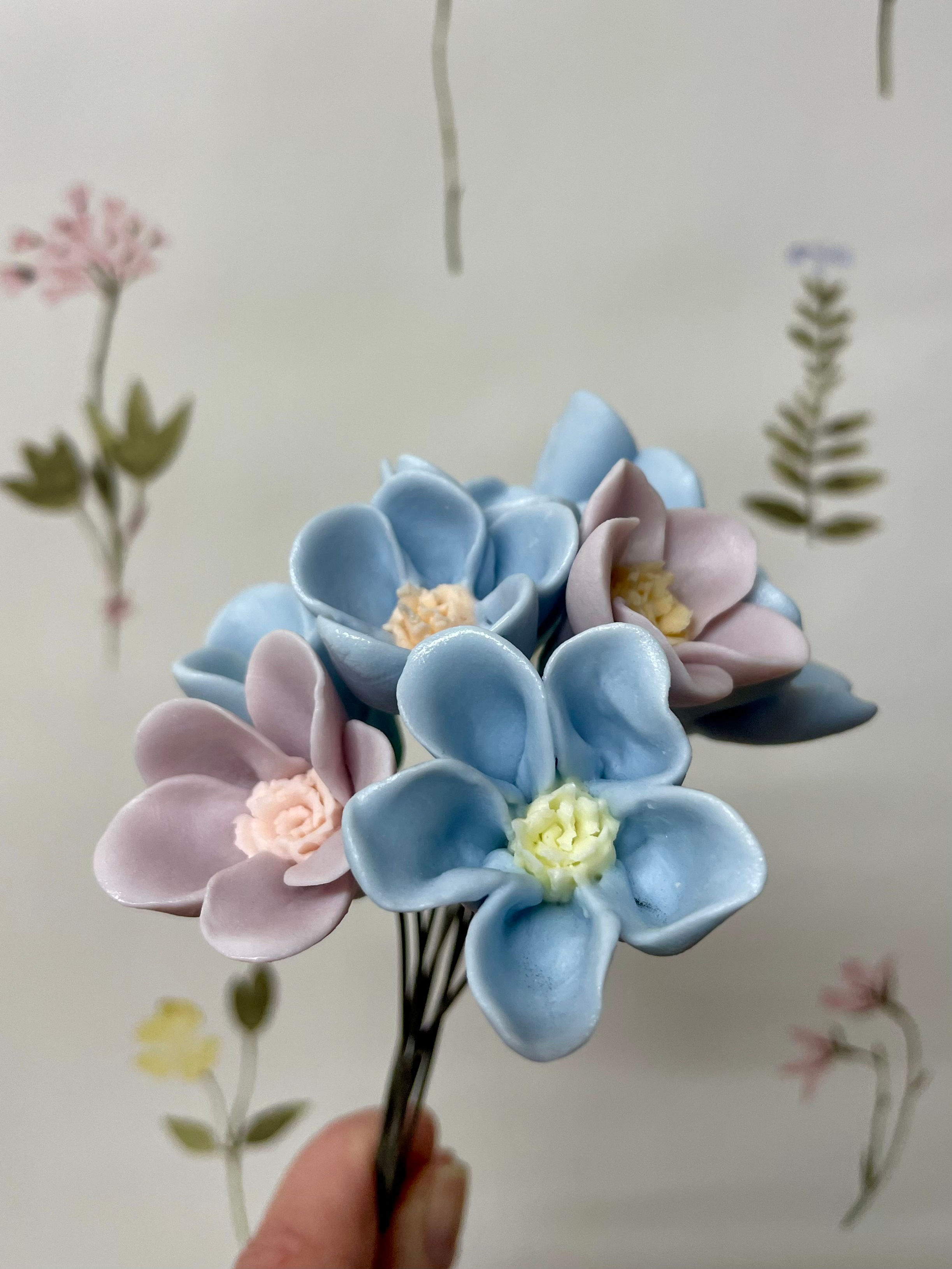 Hibiscus Caribbean Blueberry