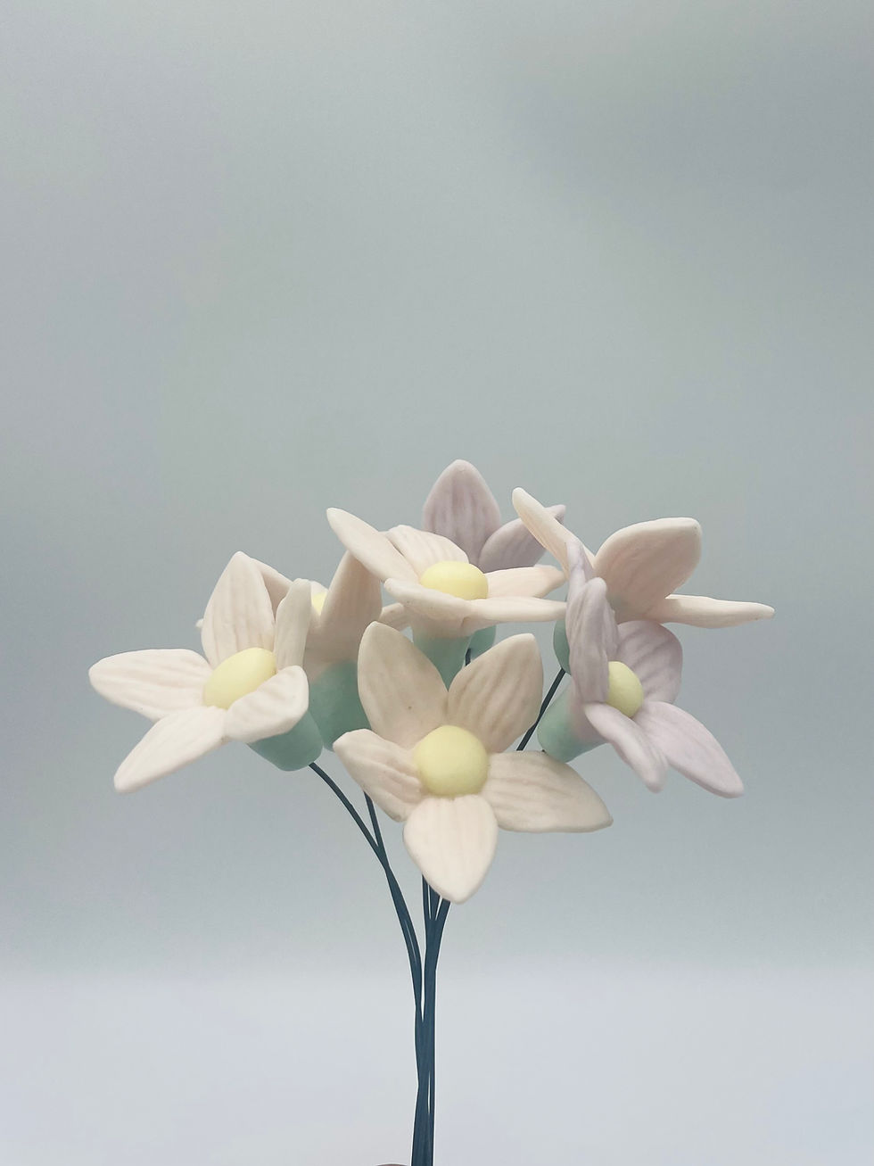 Thumbnail: Star Flower