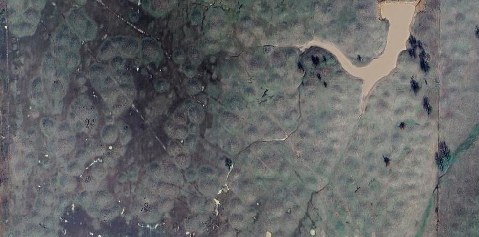 Satellite image.