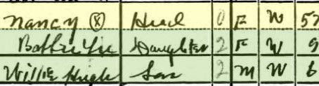 Snooping on Willie Nelson - A Census Record