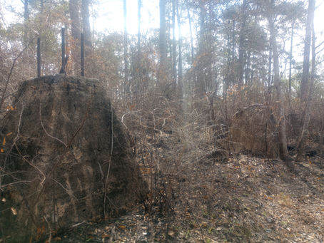 Footings of the sawmill in Fullerton