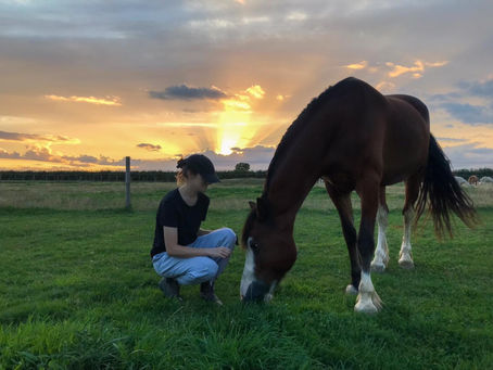 Patience is a virtue