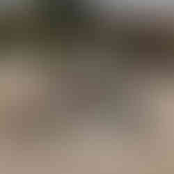 drone group shot at the venue - swallows oast