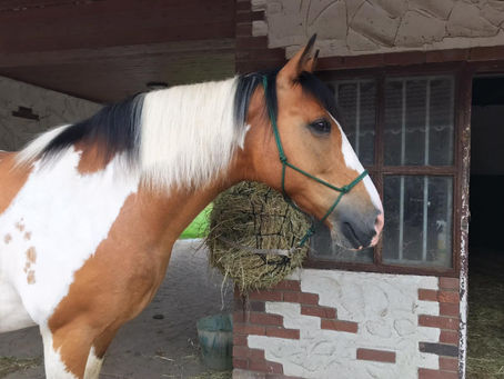 We're actually being really annoying