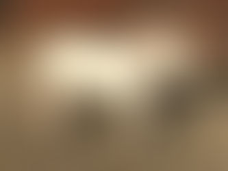 How to set your horse up to succeed