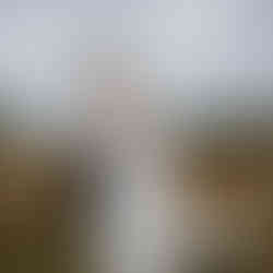 wedding portrait of bride and groom kissing in countryside field at Swallows Oast, East Sussex