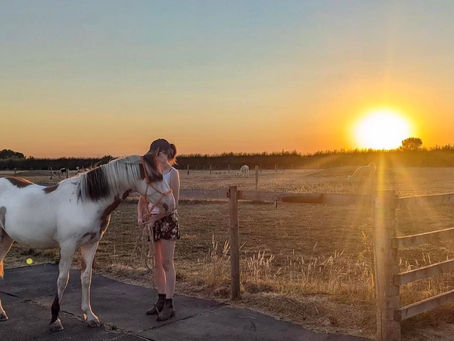 Start where the horse is comfortable