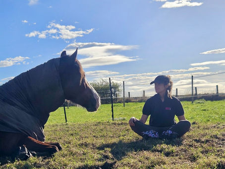 Hero complexes don't help horses