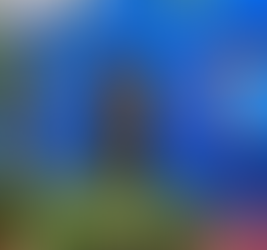 Museo Frida Kahlo (La Casa Azul): Un Viaje a la Vida de una Icono Mexicana