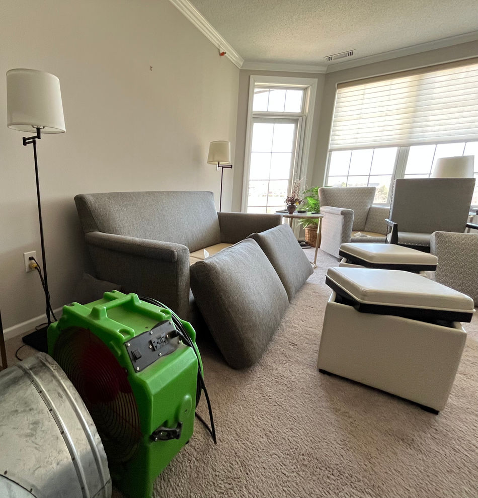 Bed Bug Treatment