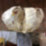 image00492.jpeg