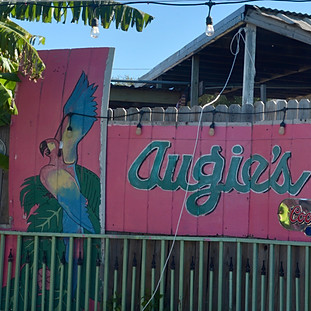 Lizard Tail & Augie's Sunset Café Ride
