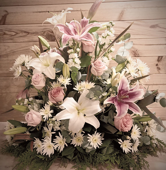 IMG_20230616_235532765_HDR_edited_edited