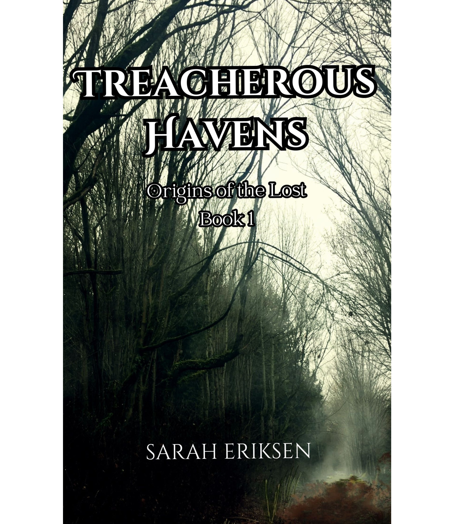 Treacherous Havens - Origins of the Lost Book 1 - Hardback