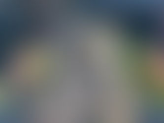 No.1 エゾフクロウ