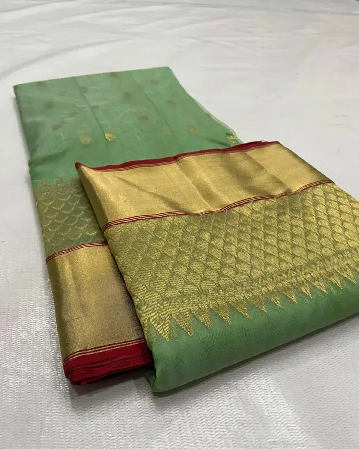 Pastel Green Pure Katan Silk Handloom Chanderi Silk Saree