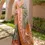 Thumbnail: Persian Green Woven Paithani Meena Silk Saree