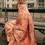 Thumbnail: Women's Peach Kashmiri Modal Handloom Saree