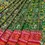 Thumbnail: Exquisite Single Ikat Hand-Woven Patola Saree in Pure Mulberry Silk