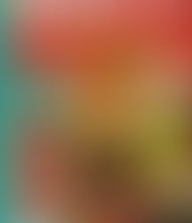 Audience Profile Analysis