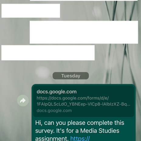 Target Audience Questionnaire