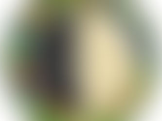 Final Photoshoot Part 2