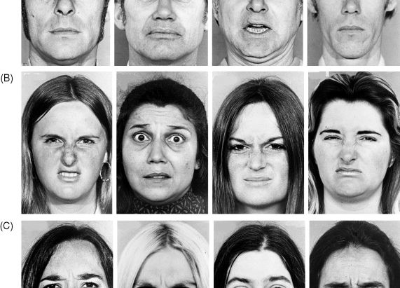 A natureza das emoções