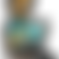 Há livros que informam. E há livros que acompanham