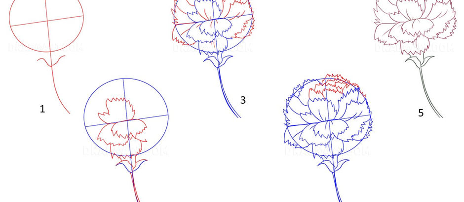 Uma revolução em cinco passos