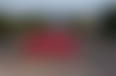 The couchseling experience