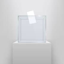 Voto transparente