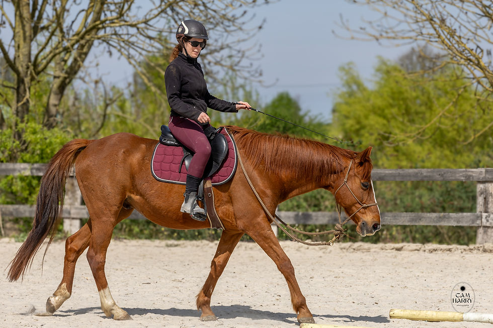 Miniature : Stage Savoirs 1 à 5 FFE + examen