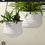 Thumbnail: Arlo Small Hanging Planters Set of 2