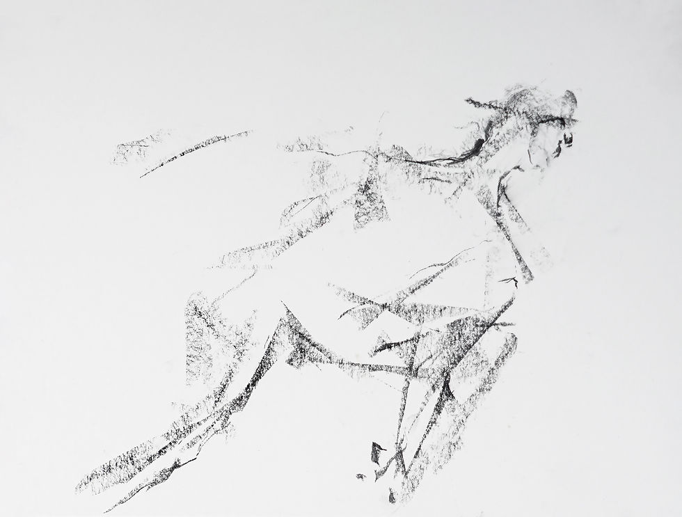 Motion Study for a Freediver
