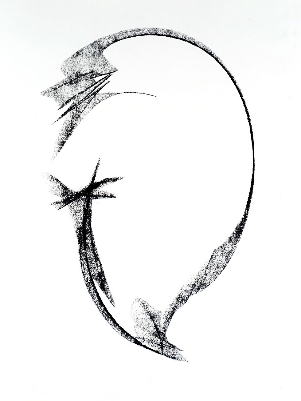 Fluke Motion Study i