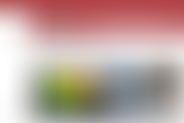 Why Your Business Needs a Digital Management System