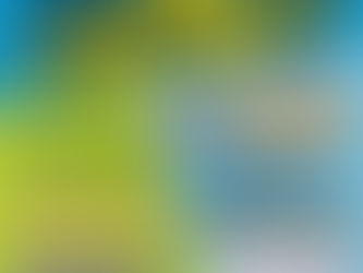 VT SEVA DETROIT ANNUAL VOLLEYBALL/WOMEN'S THROWBALL TOURNAMENT