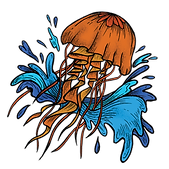 Untitled-1-01.png