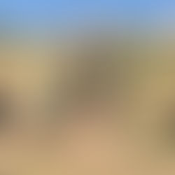 La Unidad Naval de Operaciones Especiales, llevó a cabo el “Adiestramiento de Pelotones de Acción Directa de Infantería de Marina”, en el Estado de México