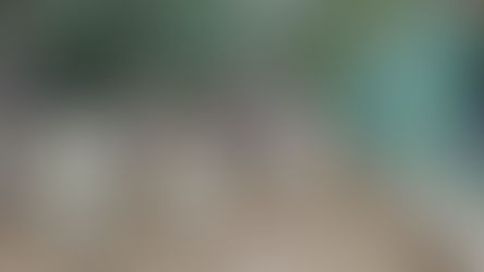 Ejército Mexicano brinda apoyo a población afectada en El Higo, Veracruz, mediante la aplicación del Plan DN-III-E