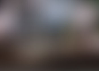 EN VERACRUZ, SE CUMPLIMENTARON TRES ÓRDENES DE CATEO Y SE ASEGURÓ ARMAMENTO