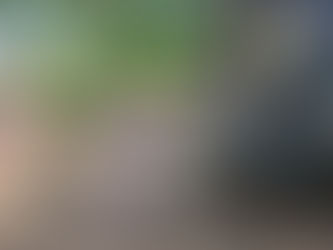 Entrega de Despensas a Familias Afectadas en Tuxpan, Veracruz