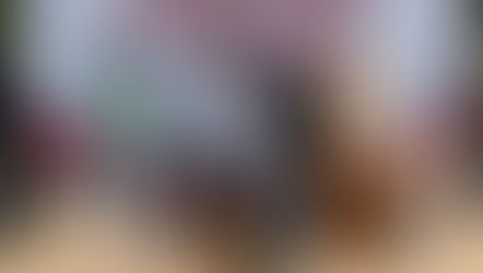 Tuxpan impulsa el bienestar animal con exitosa campaña de adopción