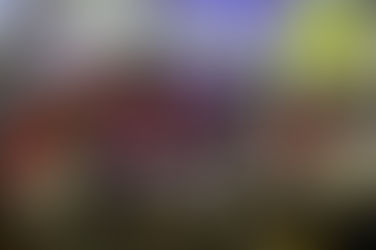 Primer Domingo Cultural del Mes de la Patria