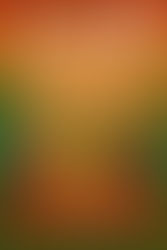 Primer “Festival del Vino, Queso y Mezcal”, a partir de este jueves, en el parque Reforma