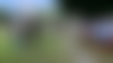 EL 39/o. BATALLÓN DE INFANTERÍA REALIZA EXPOSICIÓN FOTOGRÁFICA PARA FORTALECER EL ACERCAMIENTO CON LA SOCIEDAD EN TUXPAN, VER.