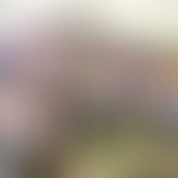 En Veracruz se fortalecen las raíces mexicanas: diputado Esteban Bautista